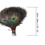 Peacock Feathers - Small