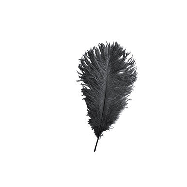 35-40cm Loose Ostrich Feathers, 5pcs - Black