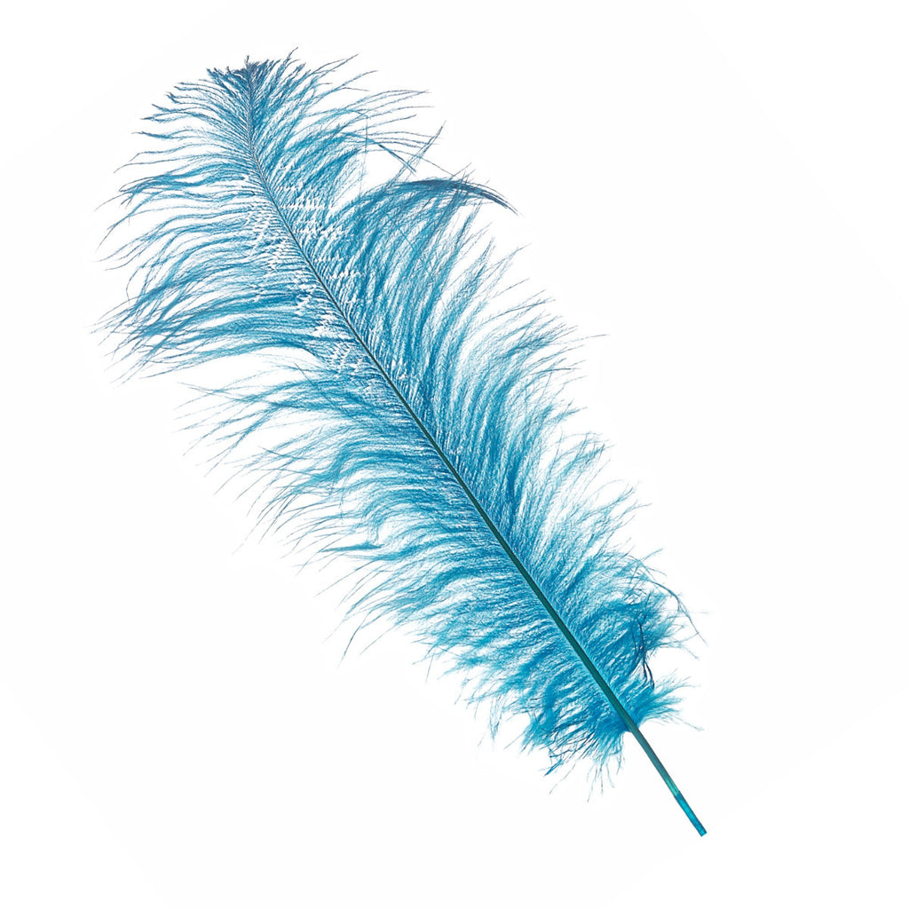 50-60cm Loose Ostrich Feathers, 5pcs - Turquoise