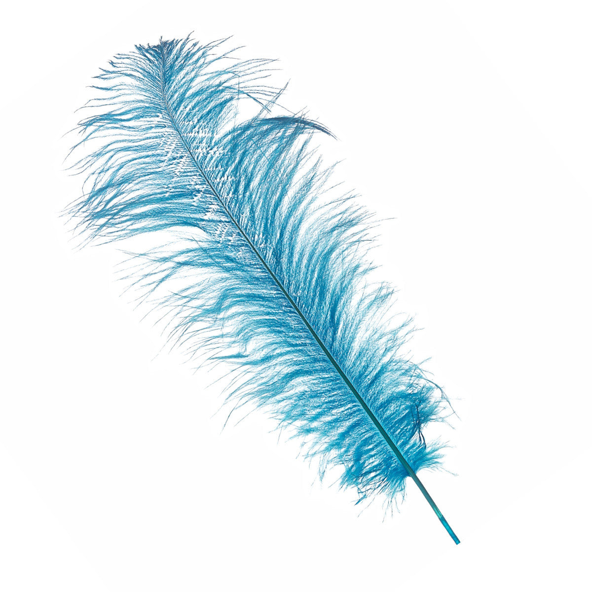 50-60cm Loose Ostrich Feathers, 5pcs - Turquoise