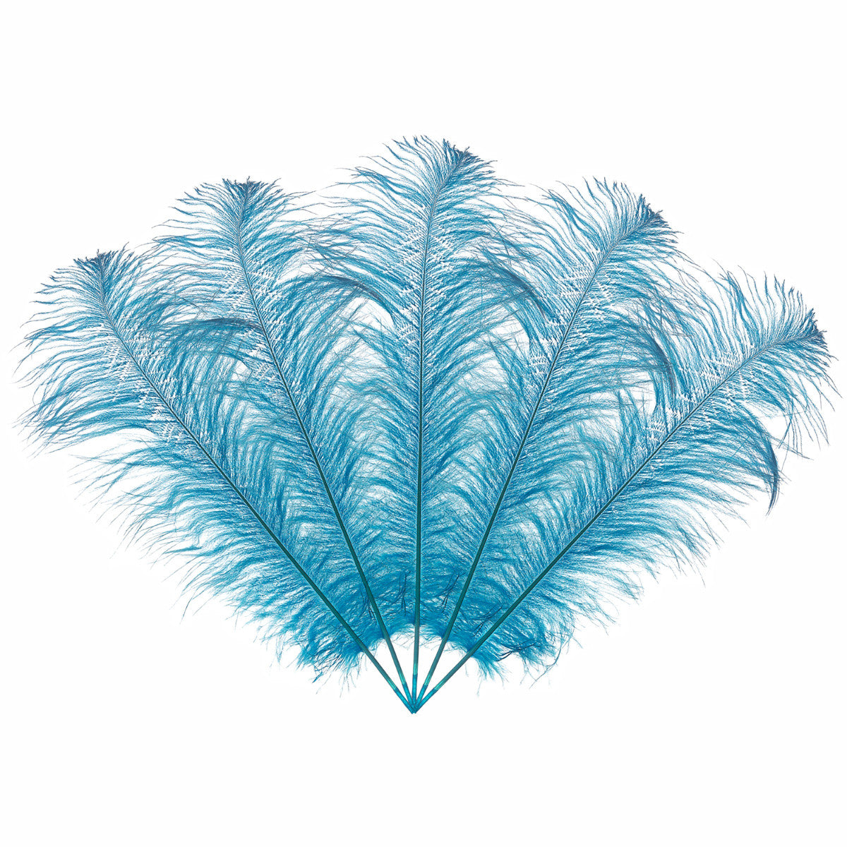 50-60cm Loose Ostrich Feathers, 5pcs - Turquoise