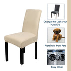 Short Spandex Textured Chair Cover - Ivory