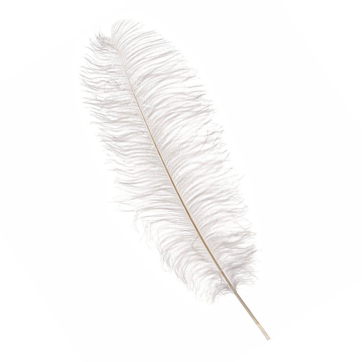 50-60cm Loose Ostrich Feathers, 5pcs - White