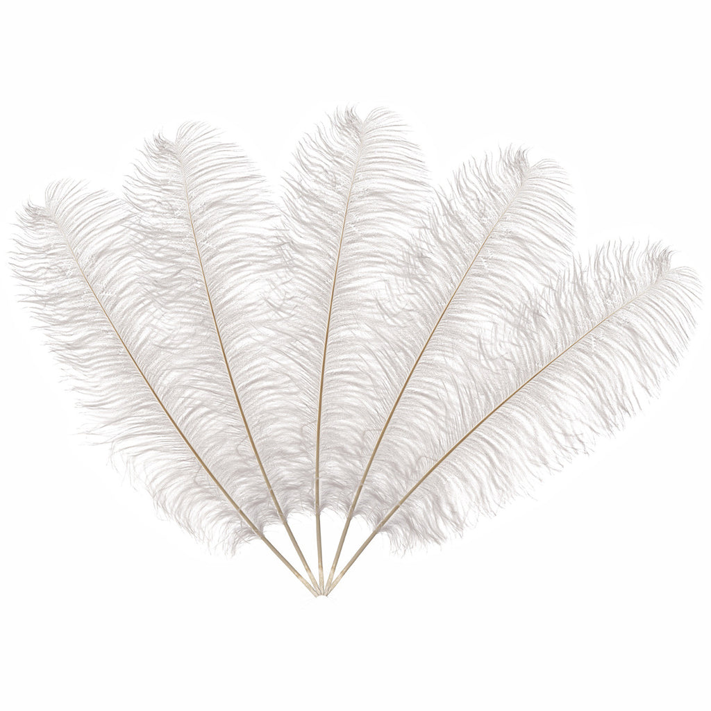 50-60cm Loose Ostrich Feathers, 5pcs - White