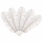 50-60cm Loose Ostrich Feathers, 5pcs - White