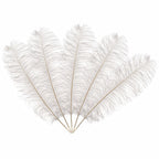 50-60cm Loose Ostrich Feathers, 5pcs - White