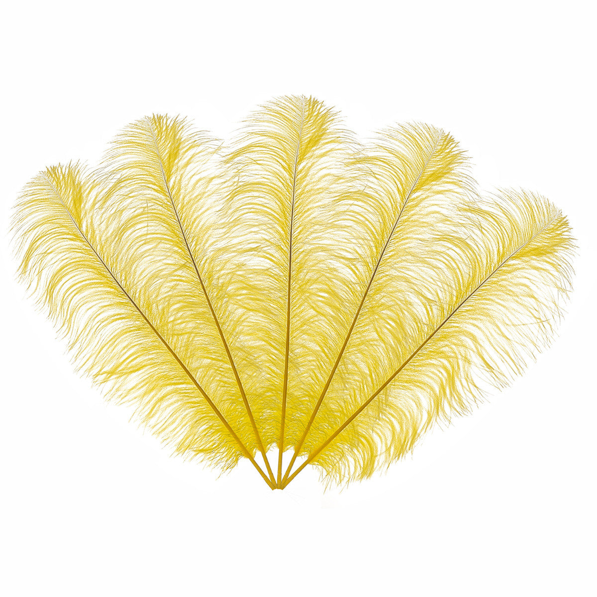50-60cm Loose Ostrich Feathers, 5pcs - Yellow