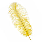 50-60cm Loose Ostrich Feathers, 5pcs - Yellow