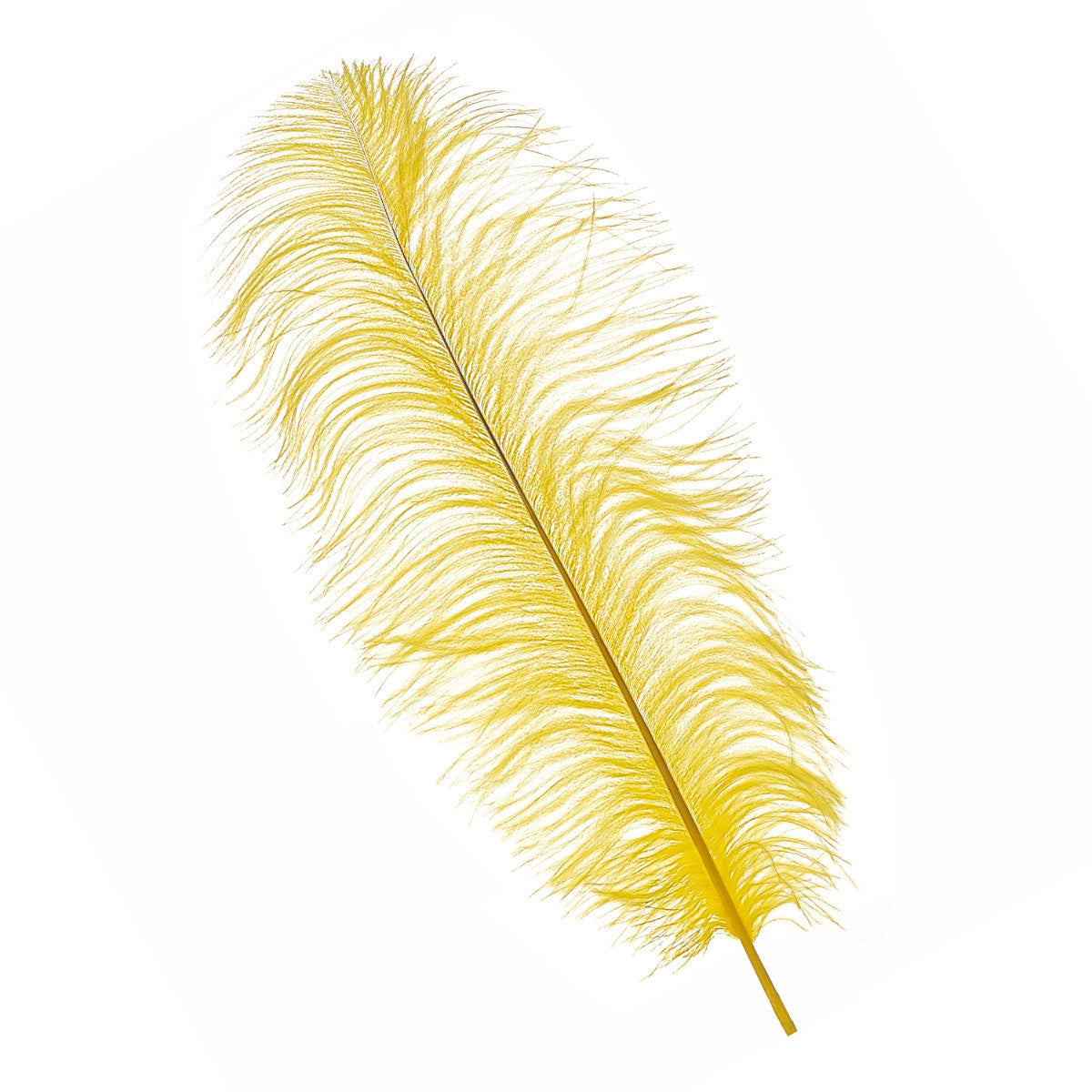 50-60cm Loose Ostrich Feathers, 5pcs - Yellow